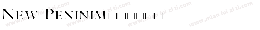 New Peninim字体转换